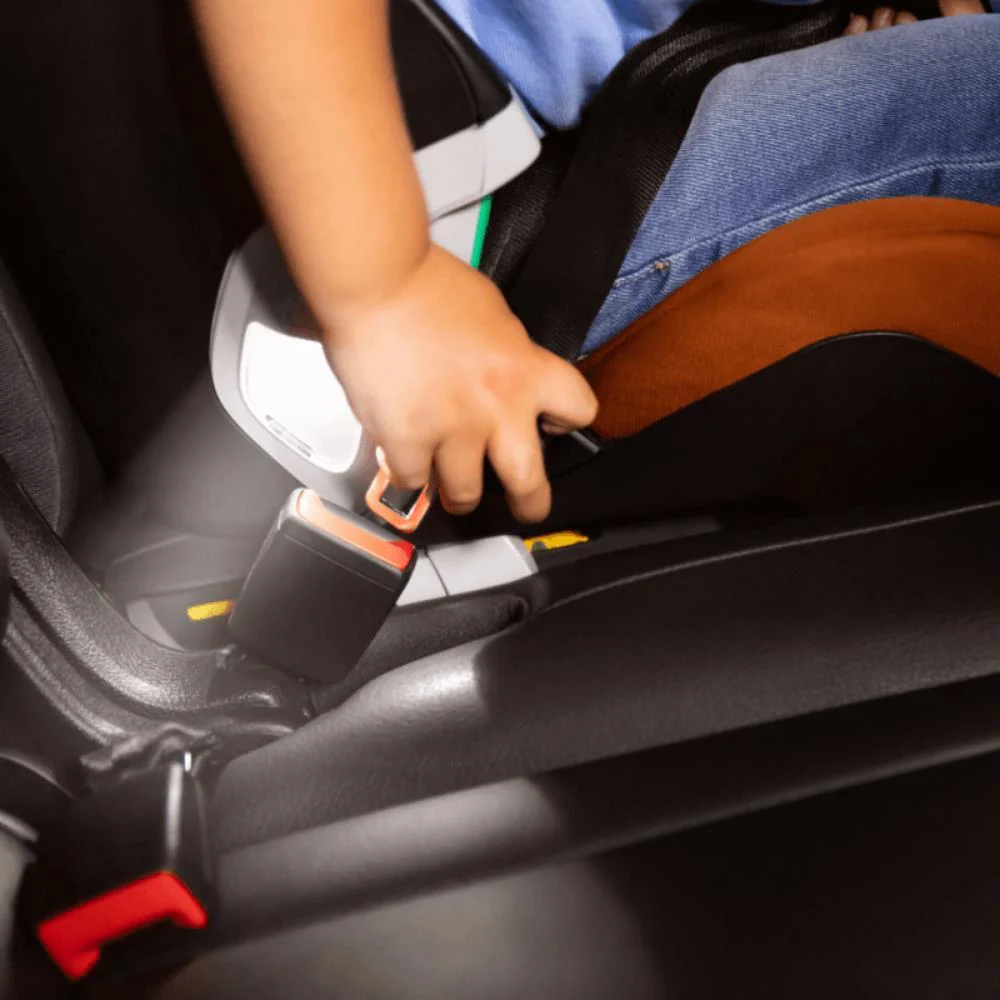 Imagem do produto 12